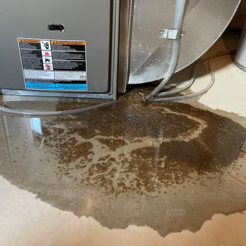 Appliance Leak Cleanup in London, OH